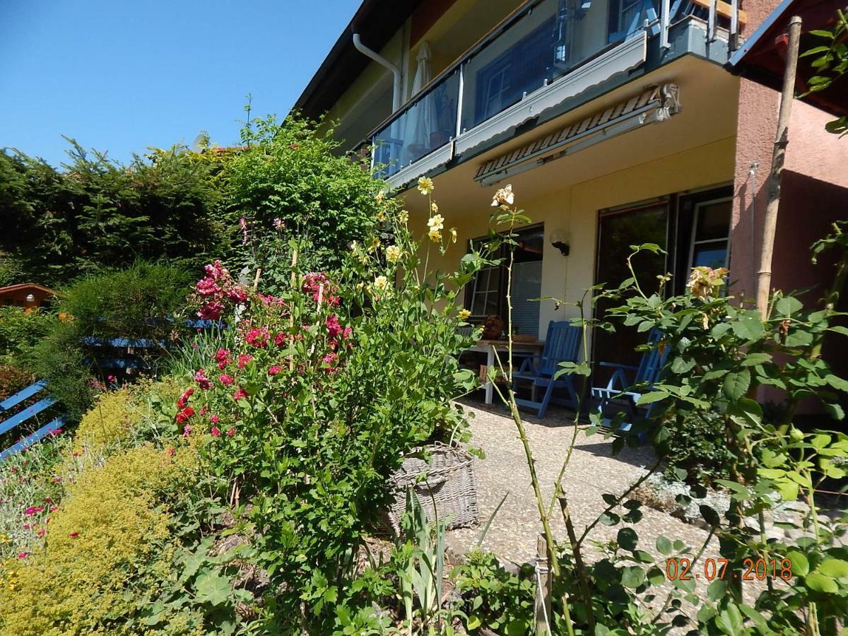 Haus Wiesental Kleines Wiesental Exterior photo