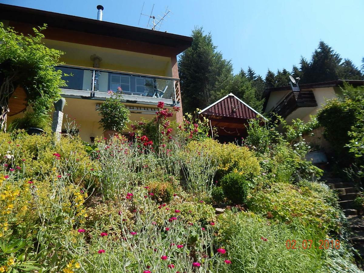 Haus Wiesental Kleines Wiesental Exterior photo